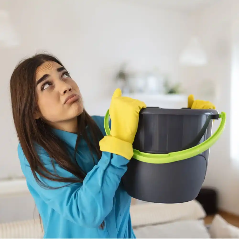 water damage restoration service Harbor Springs